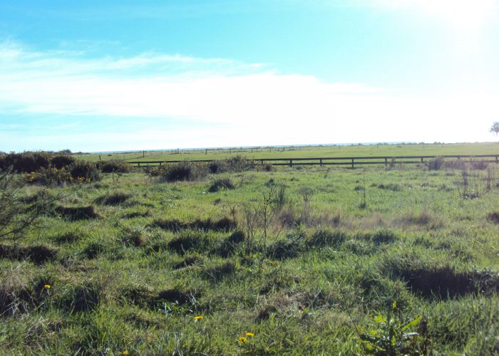  at 20 Elley Drive, Carters Beach, Westport