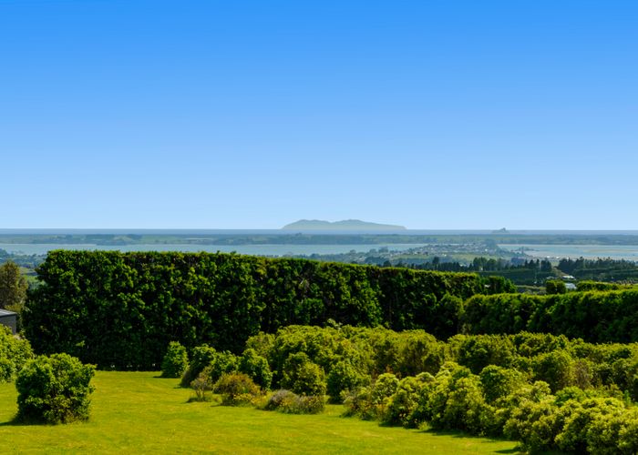  at 46 Laurel Drive, Tauranga