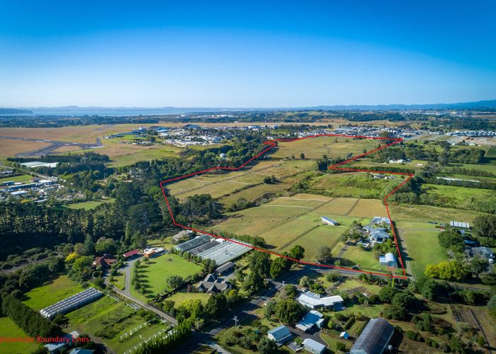  at 98 Totara Road, Whenuapai, Auckland