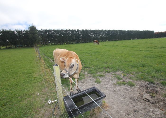  at 269 School Road, West Eyreton, Rangiora