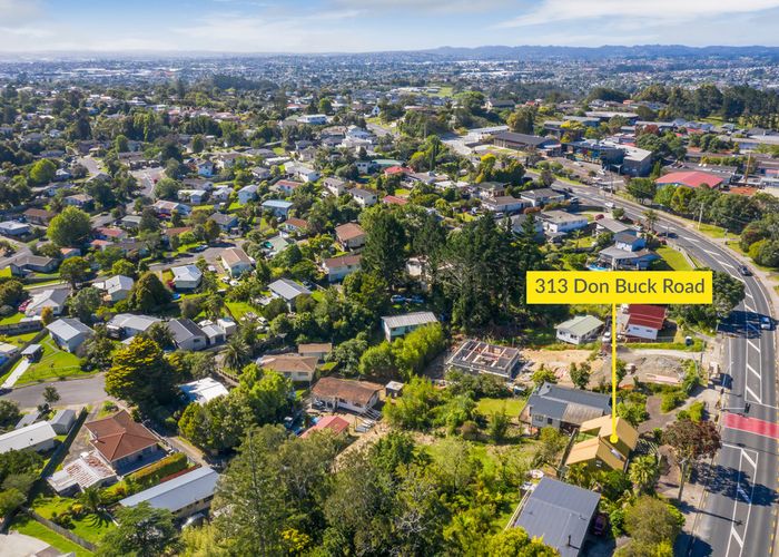  at 313 Don Buck Road, Massey, Auckland