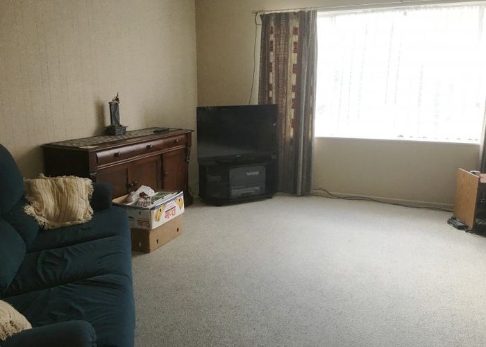  at 17 Andrew Street, Waikanae
