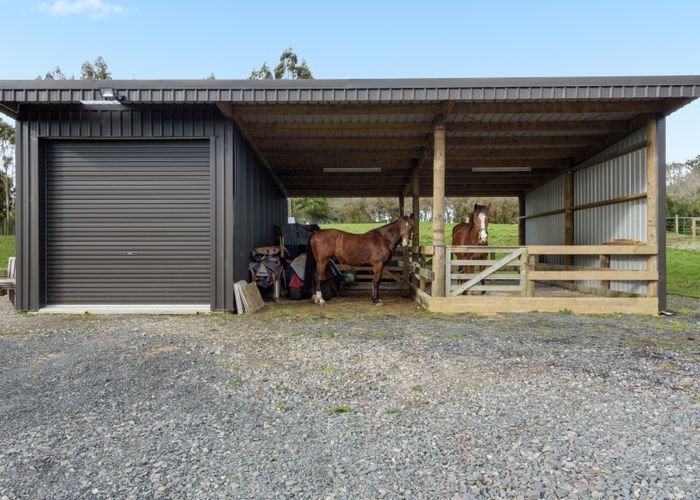  at 81 Leyland Road, Tauranga