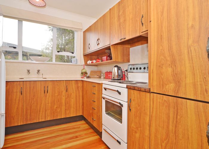  at 63 Miro Street, Takaro, Palmerston North