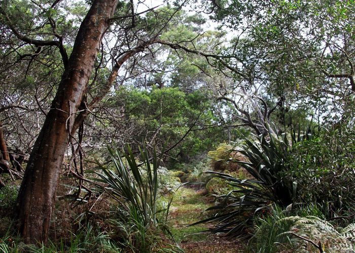  at 63 Trig Road, Kaitaia