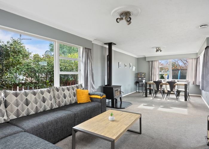  at 91 Alabama Road, Redwoodtown, Blenheim