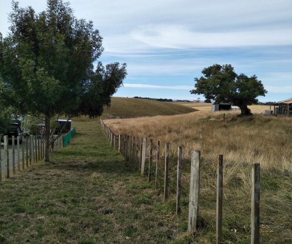  at 0 Cemetery Road, Sanson, Sanson