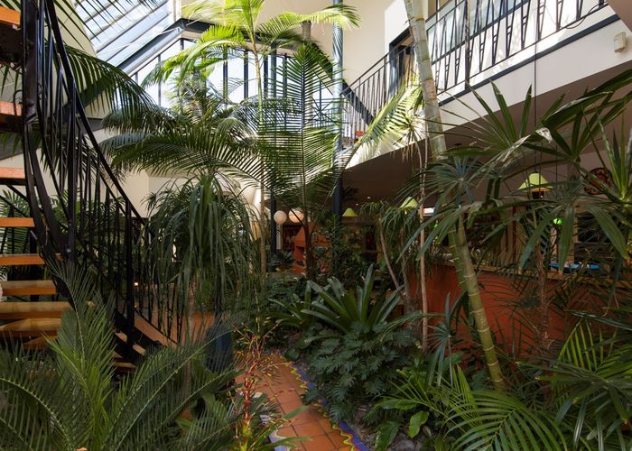 at 32 Rawene Avenue, Westmere, Auckland