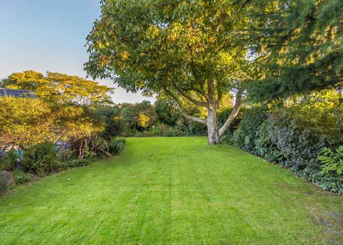 Free property data for 15 Dunster Street, Burnside, Christchurch