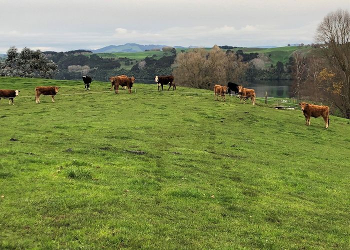  at 728 Lake Arapuni Road, Arapuni
