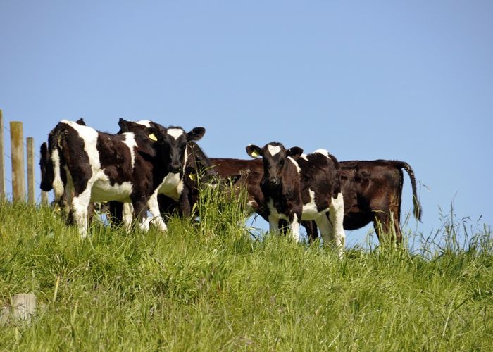  at 912 Poutakataka Road, Rotorua