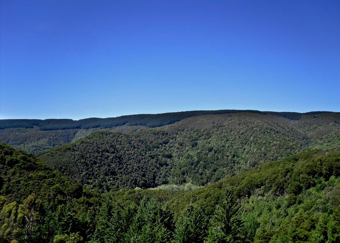  at 17 Tui Terrace, Waipori Falls, Outram
