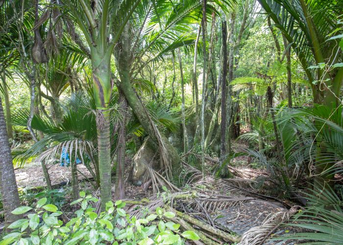  at 12 Hartmount Place, Te Miko