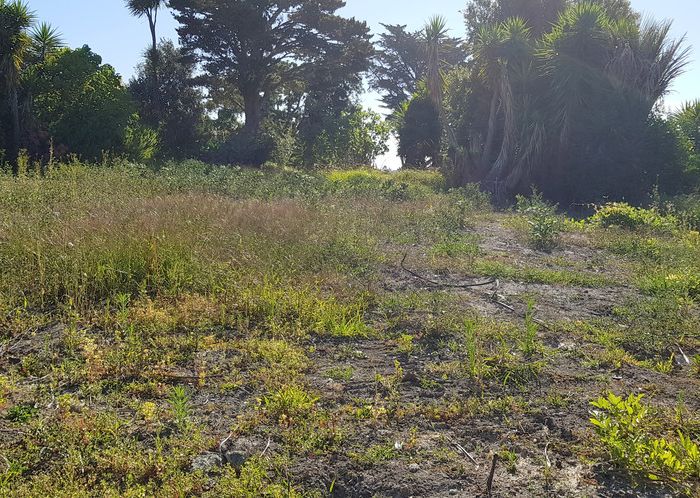  at 7491A State Highway 1, Kaitaia