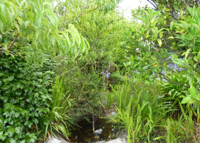 at 11 Hobson Street, Maeroa, Hamilton