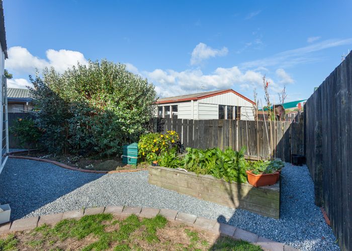 at 11B Jasper Way, Papamoa Beach, Papamoa