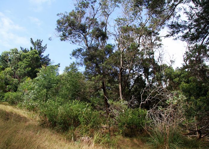  at 63 Trig Road, Kaitaia