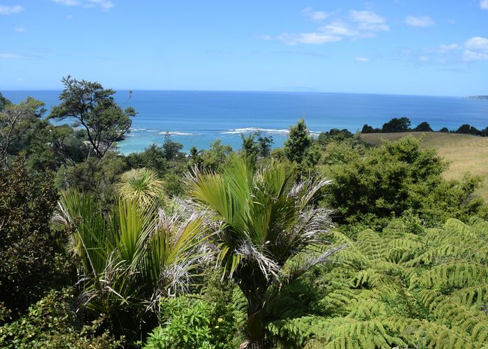  at 115 Leigh Road, Warkworth