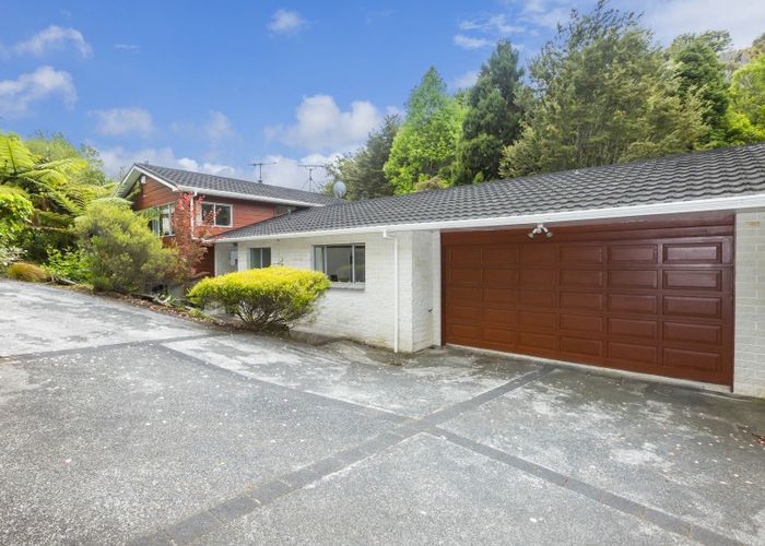 Free property data for 61 Blue Mountains Road, Pinehaven, Upper Hutt