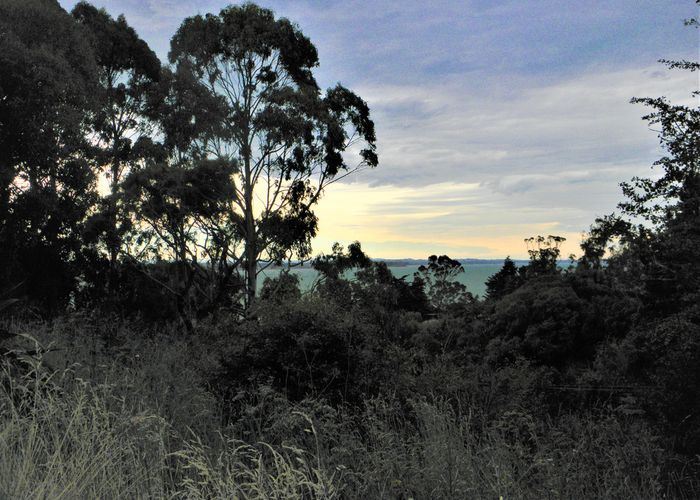  at 14 Tenby Street, Palmerston