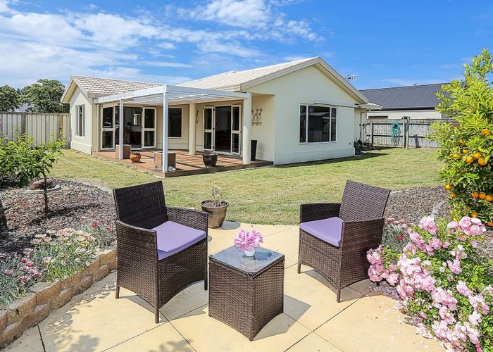  at 31 Pukekura Place, Taradale, Napier