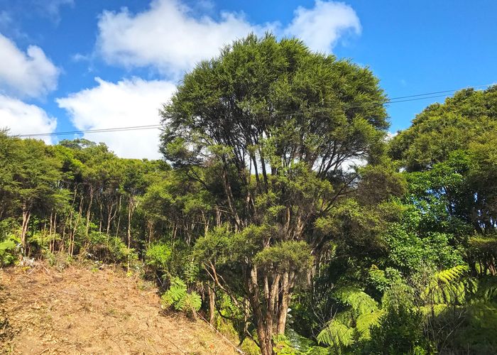  at 5 View Road, Ostend, Waiheke Island