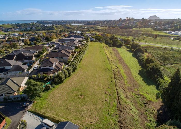  at 19 Hyforce Way, Bethlehem, Tauranga