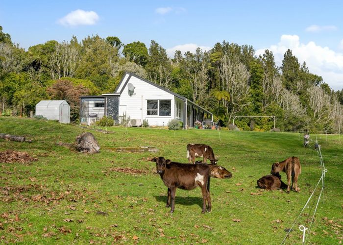 at 21A Hamilton Road, Rotorua
