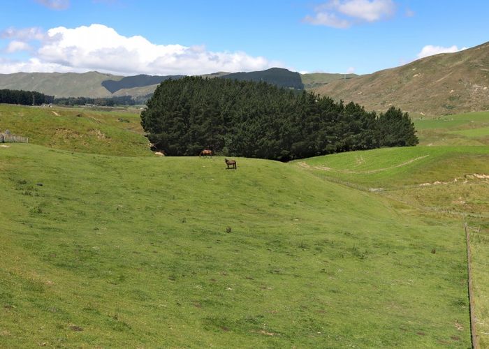  at 50 Highland View Drive, Tokomaru, Palmerston North