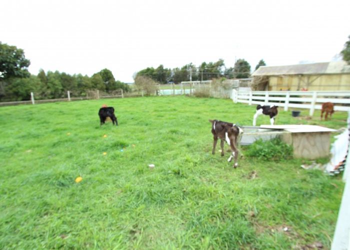  at 20 Kinloch Road, Putaruru