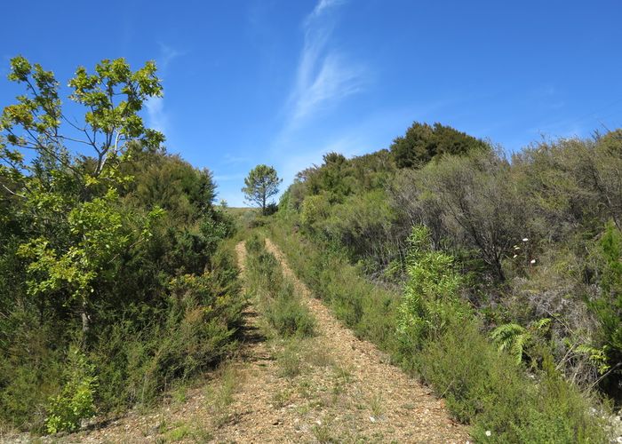  at 123 Parapara Valley Road, Parapara, Collingwood