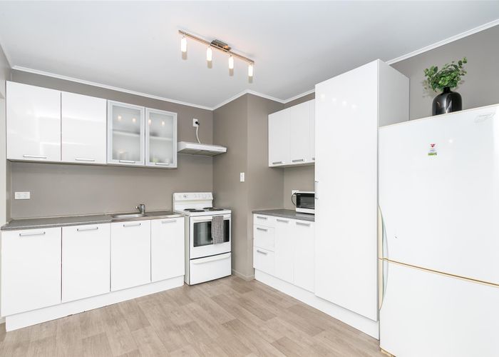  at 19 Paterson Street, Frankton, Hamilton
