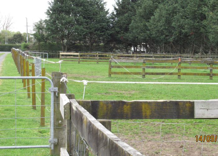  at 132 Marshmeadow Road, Newstead