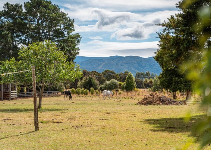  at 121 Humphries Street, Woodside, Greytown