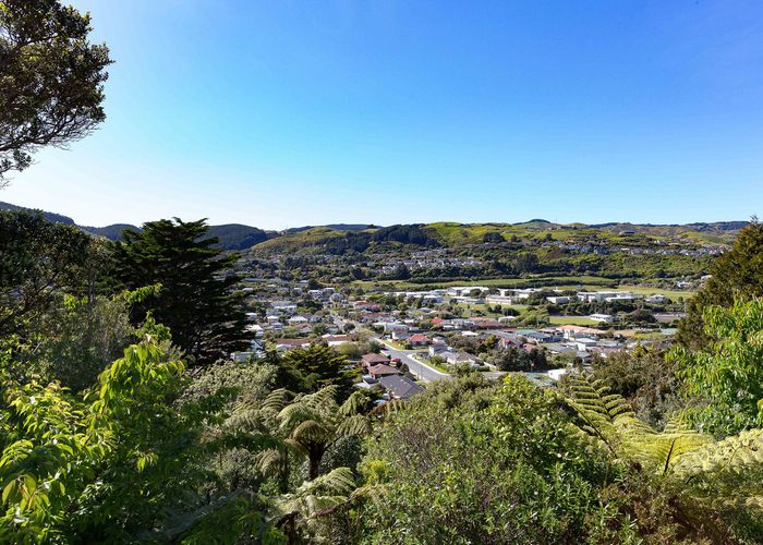  at 75 Fyvie Avenue, Tawa, Wellington