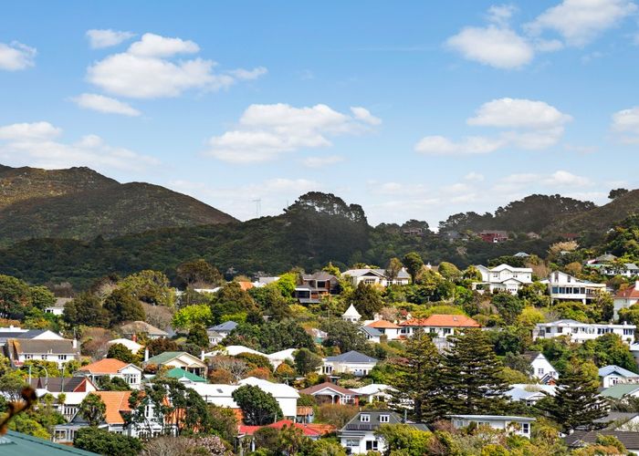 Free property data for 113 Northland Road, Northland, Wellington