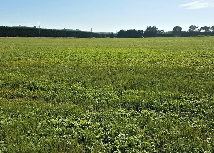  at 42 Shortland Road, Oamaru North, Oamaru