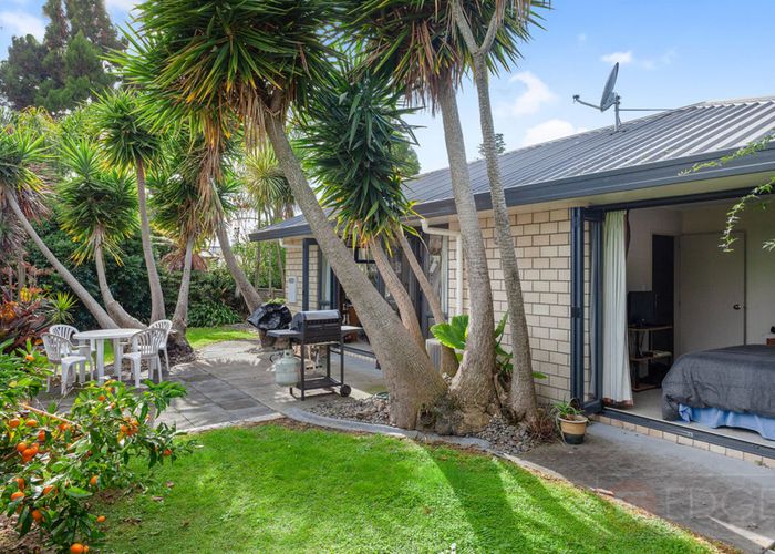  at 55 Bridge Street, Whakatane