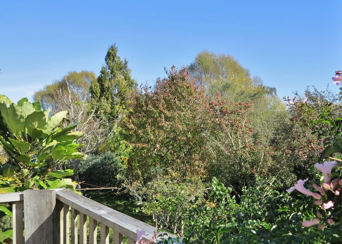 at 99 Clifton Road, Takaka