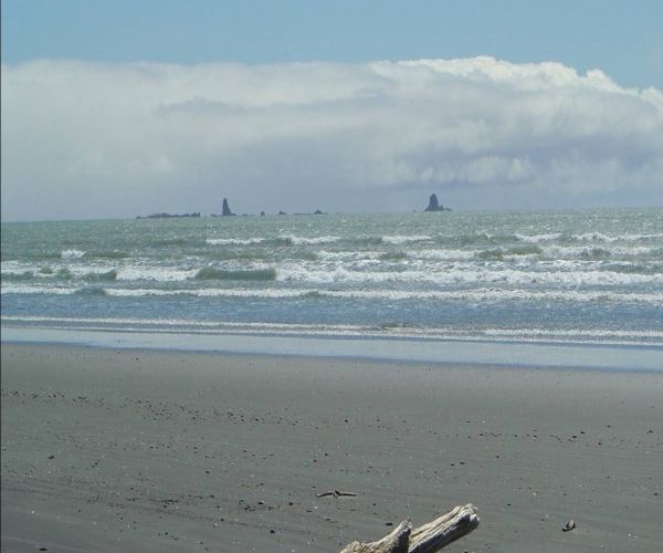  at 10 Elley Drive, Carters Beach, Westport