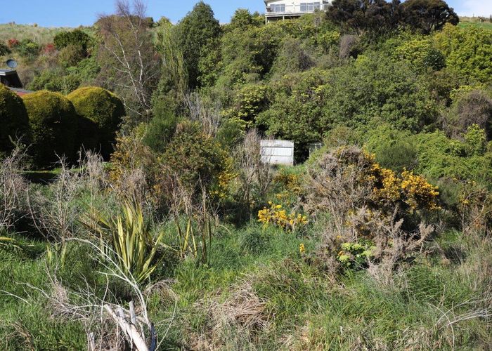  at 50 Antrim Street, Waikawa, Tokanui