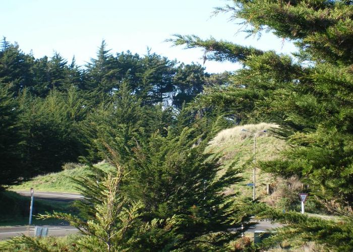  at 181 Park Avenue, Waitarere Beach, Levin