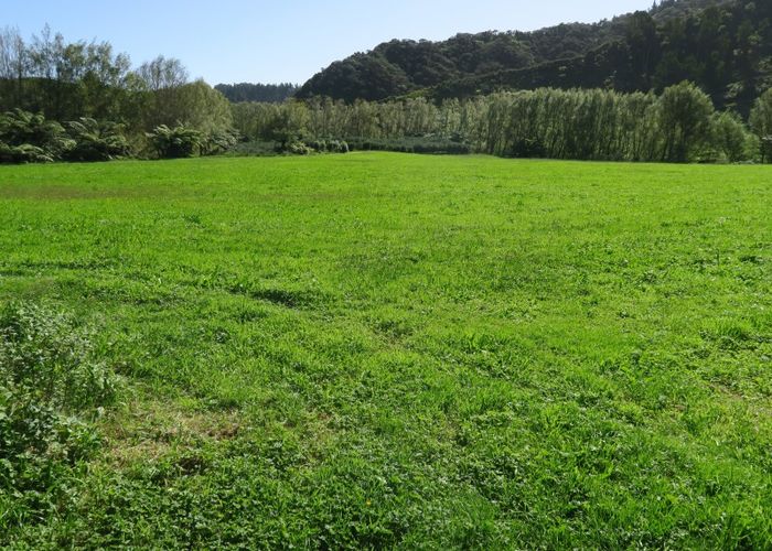 Free property data for 1971 Mokau Road, Uruti, Urenui homes.co.nz