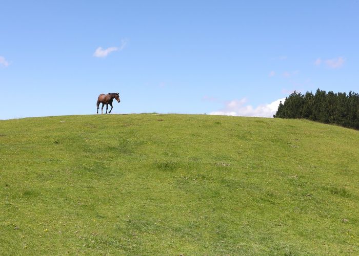  at 50 Highland View Drive, Tokomaru, Palmerston North