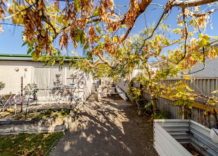  at 19 Plunket Street, Tamatea, Napier