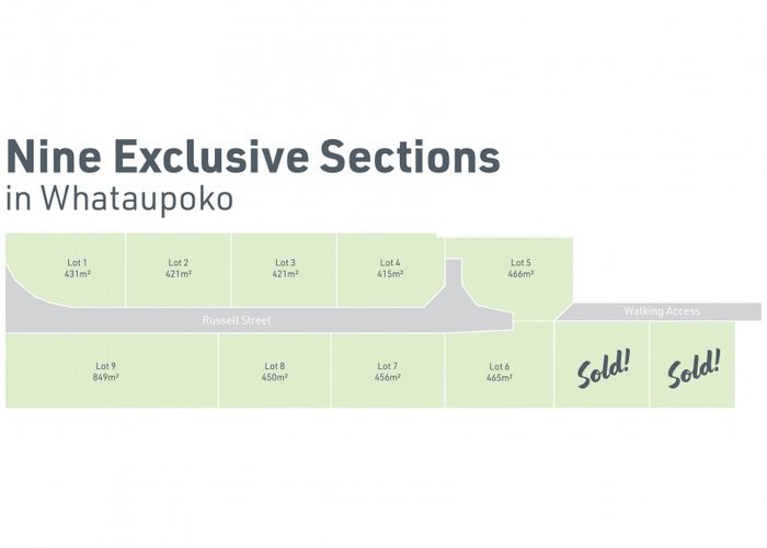  at 216 Russell Street, Whataupoko, Gisborne