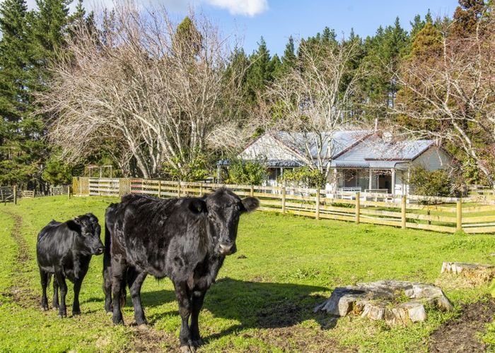  at 25B Youngson Road, Tauranga