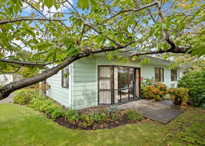  at 41 Howick Road, Redwoodtown, Blenheim