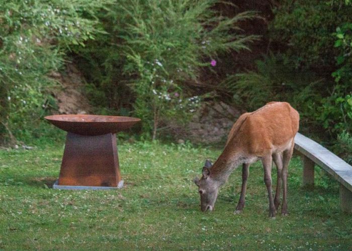  at 1668A Akatarawa Road, Akatarawa Valley, Upper Hutt