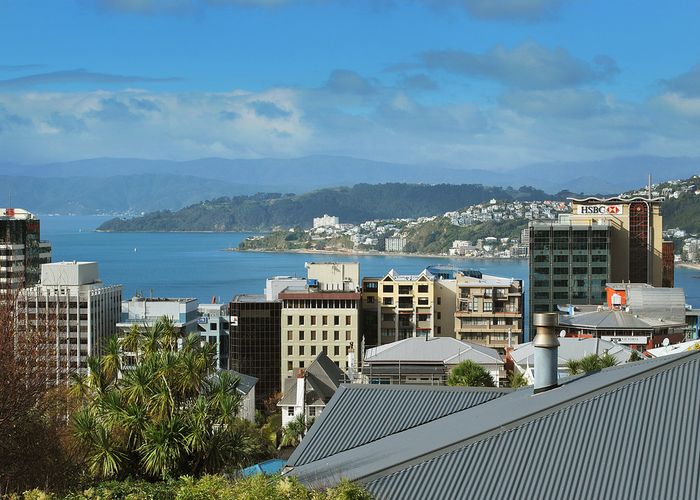  at 19 Salamanca Road, Kelburn, Wellington